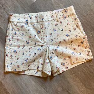NWT Loft Riviera shorts